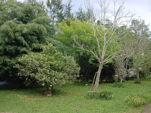 LOTE CON BELLA FORESTACIÓN Y BREVE CONSTRUCCIÓN EN VENTA, GENERAL HORNOS