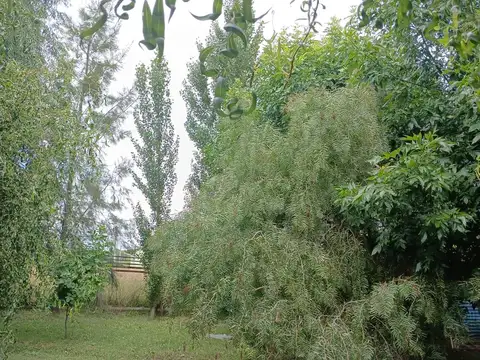 Terreno en Venta 21  mts Fondo