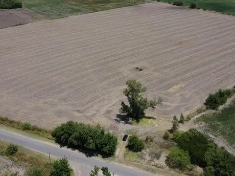 Campo en venta en Diego Gaynor sobre asfalto