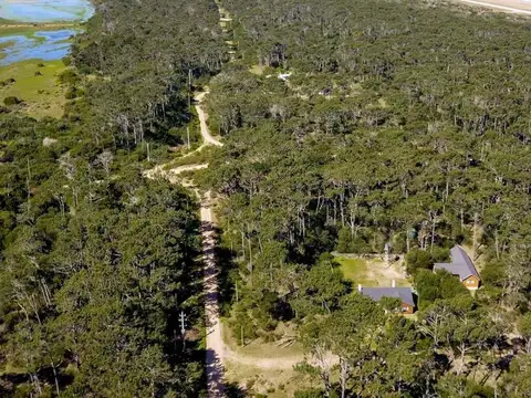 Terreno - Venta - Uruguay, Laguna José Ignacio