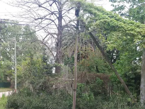 Luis Turon y Jujuy 900