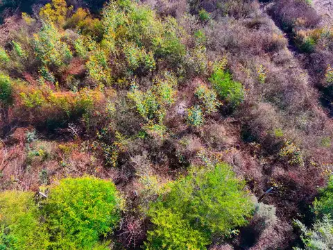 Venta | Terreno en Ceibal