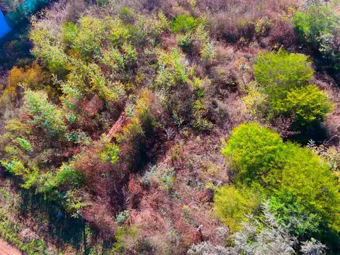 Terreno en Venta de 600,0 m2