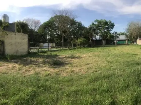 Los Guayacanes