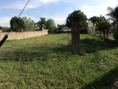 Los Guayacanes