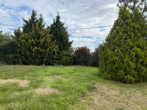 Terreno en Venta 20  mts Frente