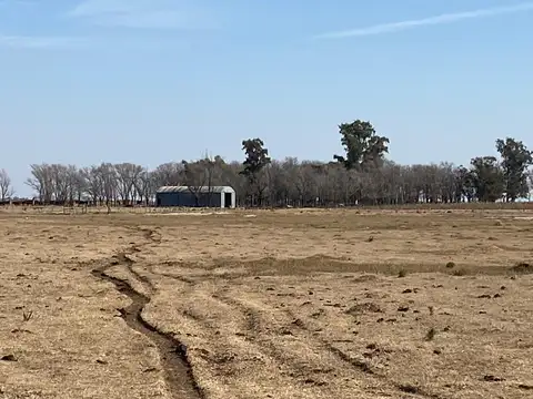 Campo ganadero-mixto – Zona Vicuña Mackenna, Córdoba