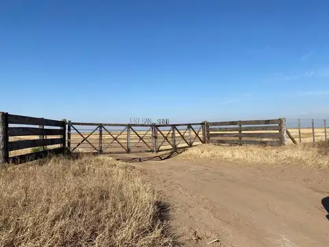 Campo ganadero-mixto – Zona Vicuña Mackenna, Córdoba