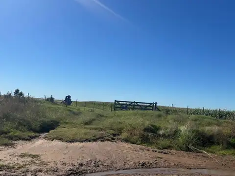 Zona Vicuña Mackenna, Córdoba