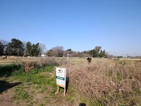 Los Cerezos