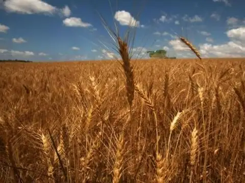 CHACRA Agrìcola, cerca de ruta