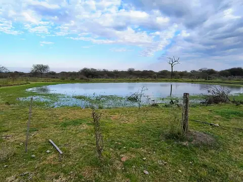 Campo en venta en Vera