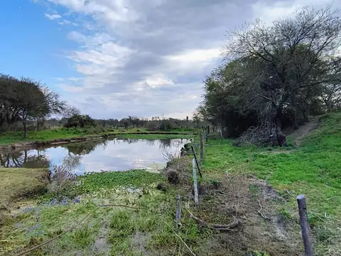 Campo en venta en Vera