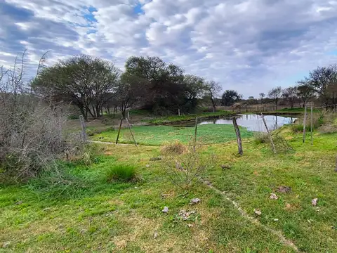 Campo en Venta de 190  ha