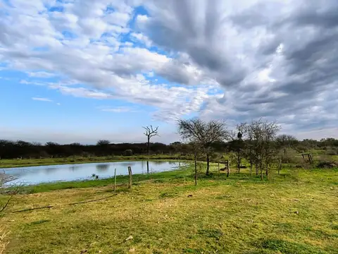 Campo cercano a Vera y Santa Lucía
