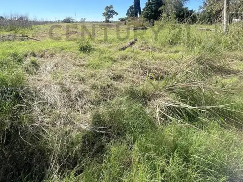 Terreno en Venta 25  mts Frente