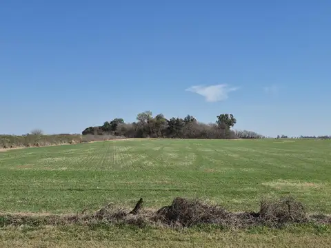 Venta Fracción de campo 3,5 Hás Roldán sobre A012