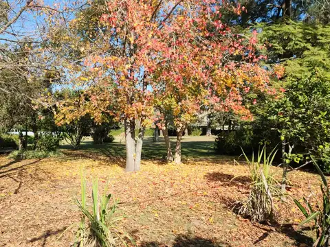 QUINTA EN VENTA VILLA ELISA 2 DORMITORIOS