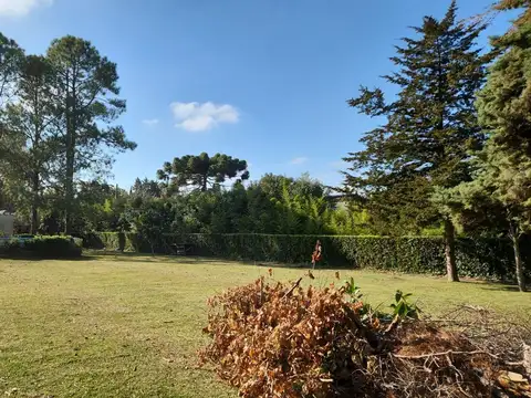 Quinta en Venta en Villa Elisa, USD 415.000