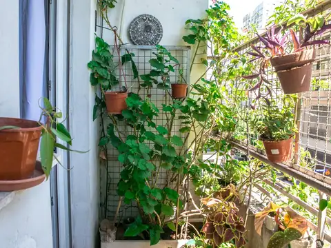 Departamento en alquiler temporario.