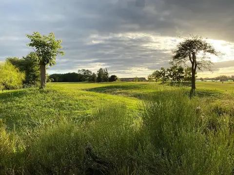 Departamento 3 Amb en  Venta Medal Country Club Condominios al Golf