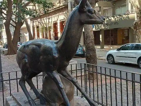 Cómodo y cálido en el corazón de  Cañitas !