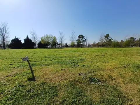 La Rinconada. Avenida Rosario 1117