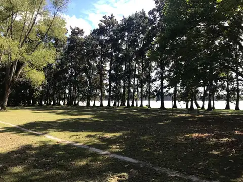 Isla  Mercedes - Delta Tigre