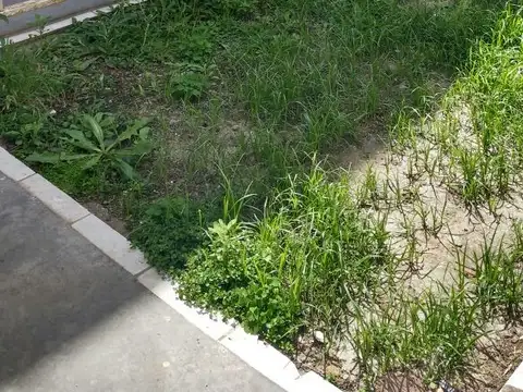 Depto Tipo Casa en Alquiler en Rosario, $ 400.000