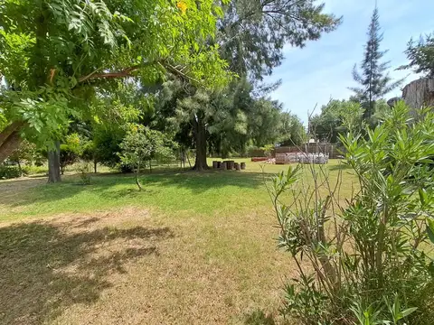 Estanislao Del Campo 800