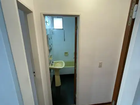 Alem 100