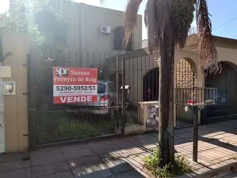 Araoz 100