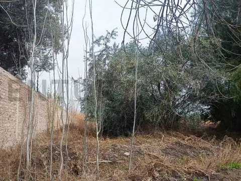 Milagros y Godoy Cruz , Piso 0