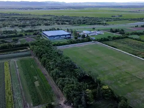 VENTA TERRENO INDUSTRIAL 51340M2 BARRIO GUIÑAZU