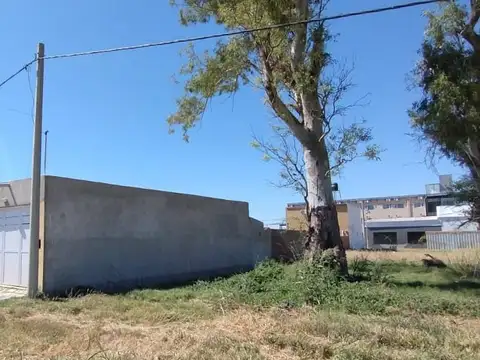 Terreno en Venta 24  mts Frente