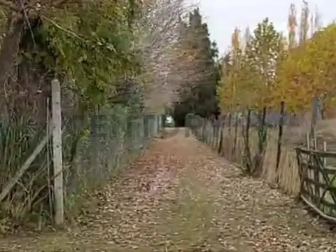 Campo en venta