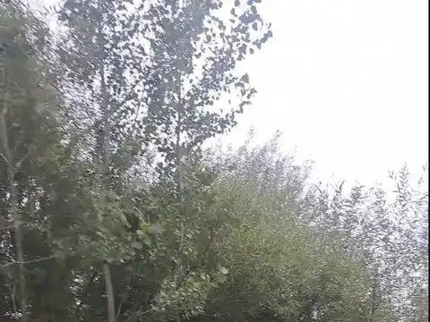 Campo en Venta de 4,44  ha