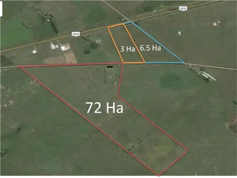 6,5 Has | Ruta 205 | Km 74 | Cañuelas | Unico dueño