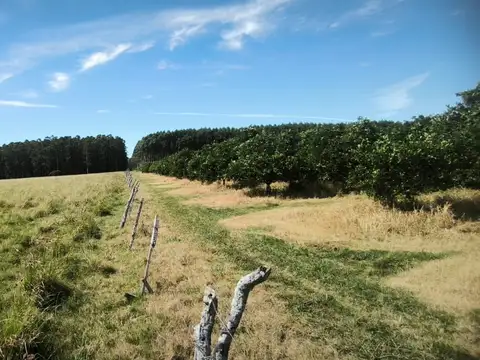 Venta de campo