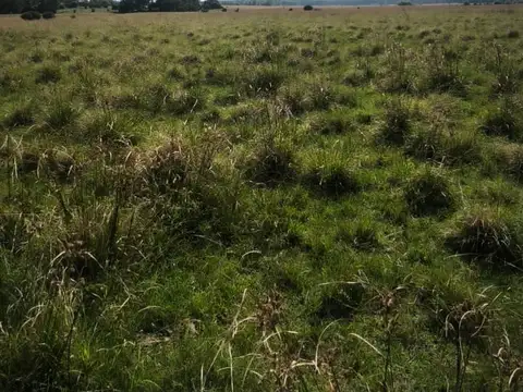 Venta de campo