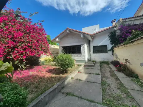 zorrilla 100