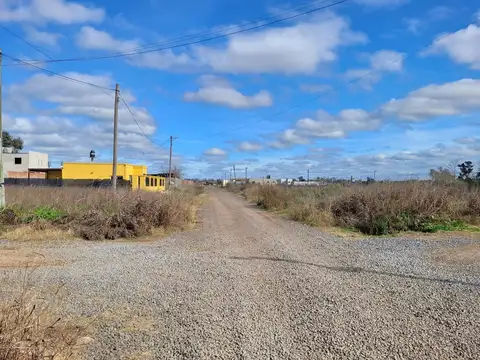 tierra del fuego y san marcos 100