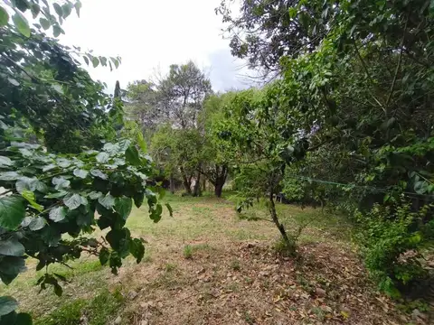 Calle Belisario Roldán 300