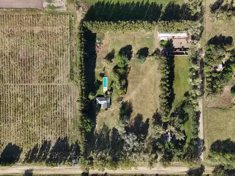 VENTA- FONDO DE COMERCIO- GRAMA BAHIANA - COMPLETO