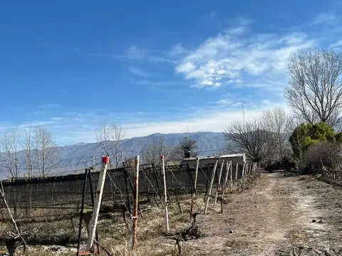 Finca en  Distrito Eugenio Bustos, San Carlos