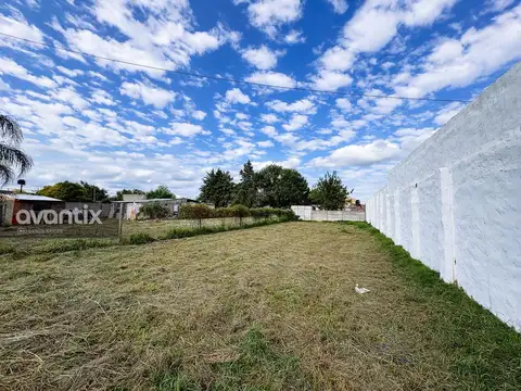 Terreno en Venta 31  mts Fondo