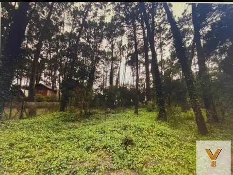 Terreno en Venta 22  mts Frente