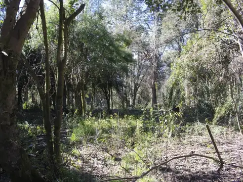 Quinta en Venta en Villa la Angostura, USD 130.000