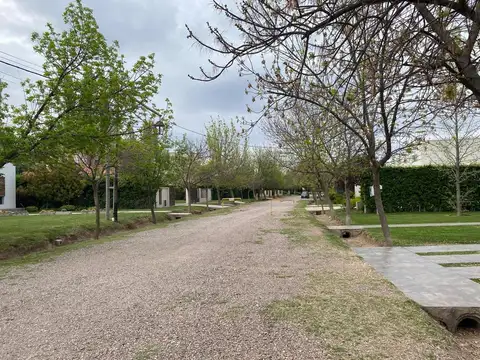 Roque Sáenz Peña 100