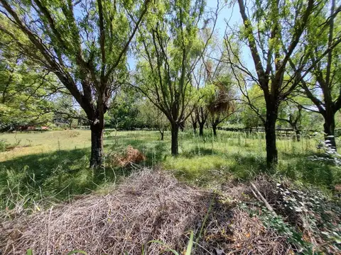 Venta - Lote -  Haras El Malacate Club de Campo - Exaltación del Cruz